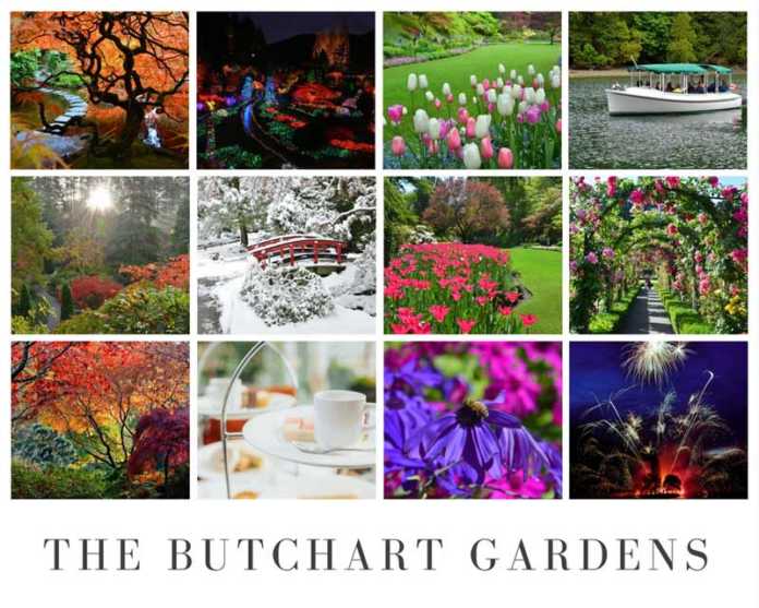 Butchart Gardens Victoria A Treasure Of Canadian Gardening