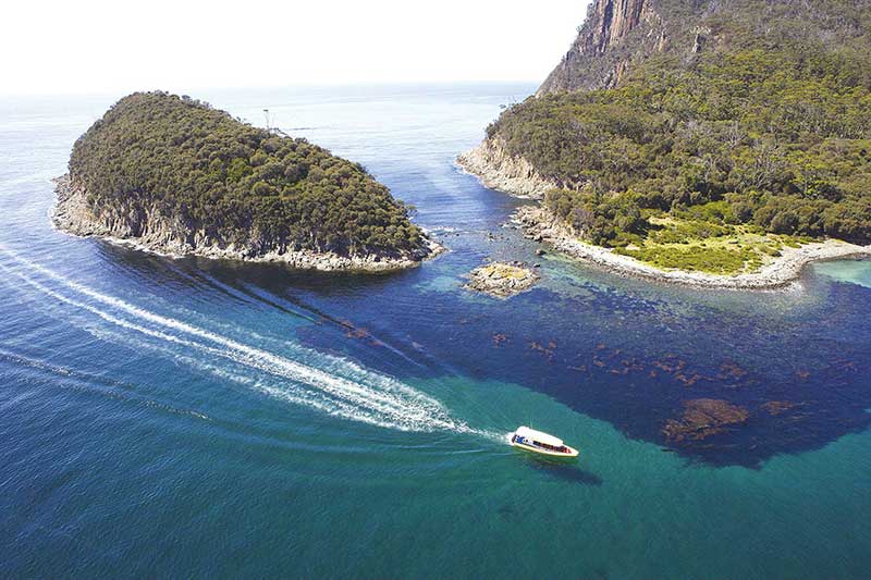 Kết quả hình ảnh cho Bruny Island tasmania
