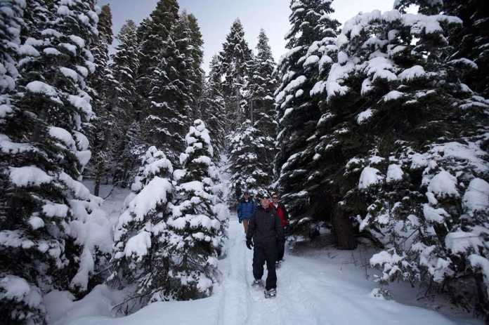 Things To Do In Lake Tahoe In Winter 17 Incredible Attractions