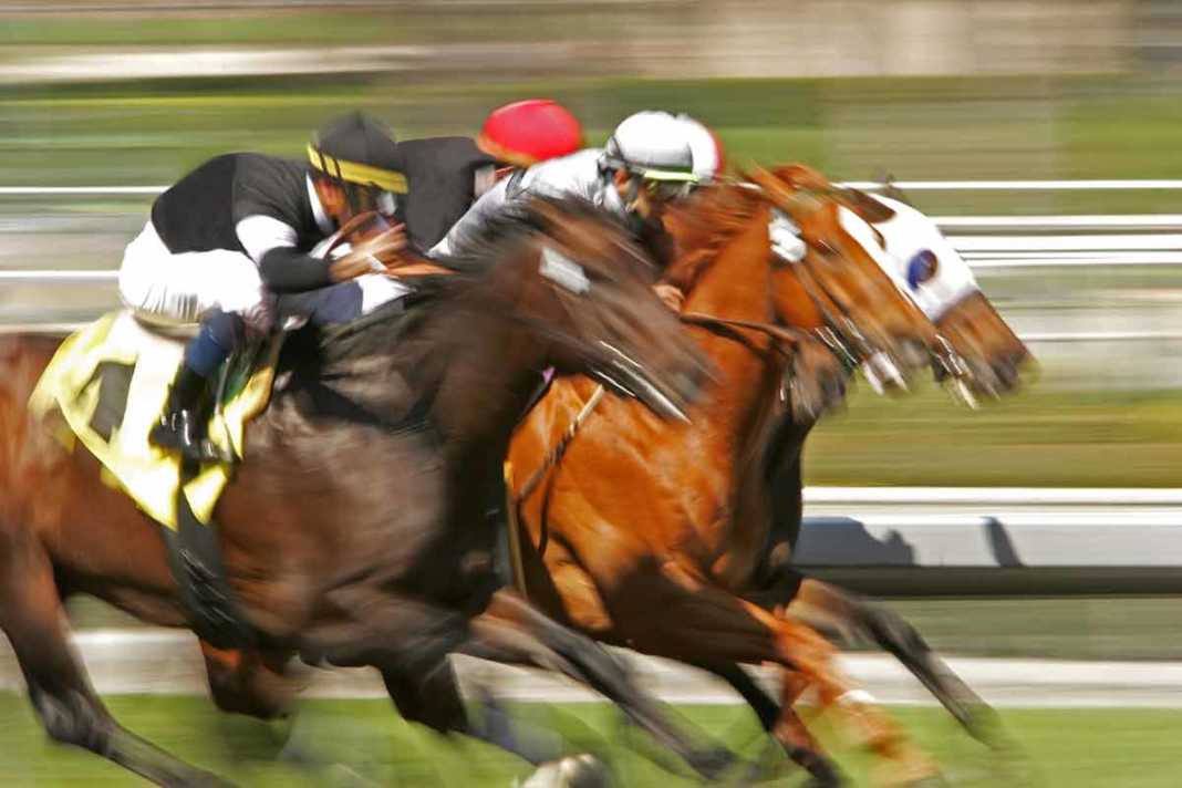 Macau Horse Racing