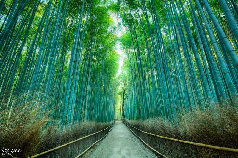 Japan Tourist Spots In Photos Amazing Pictures Of Japan
